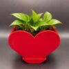 Upright Heart Planter