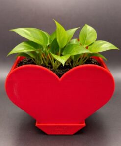 Upright Heart Planter